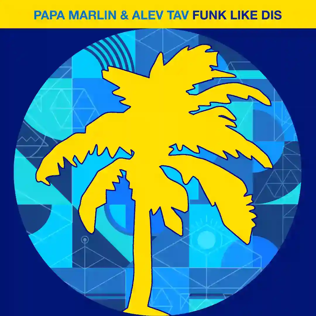 Funk Like Dis cover