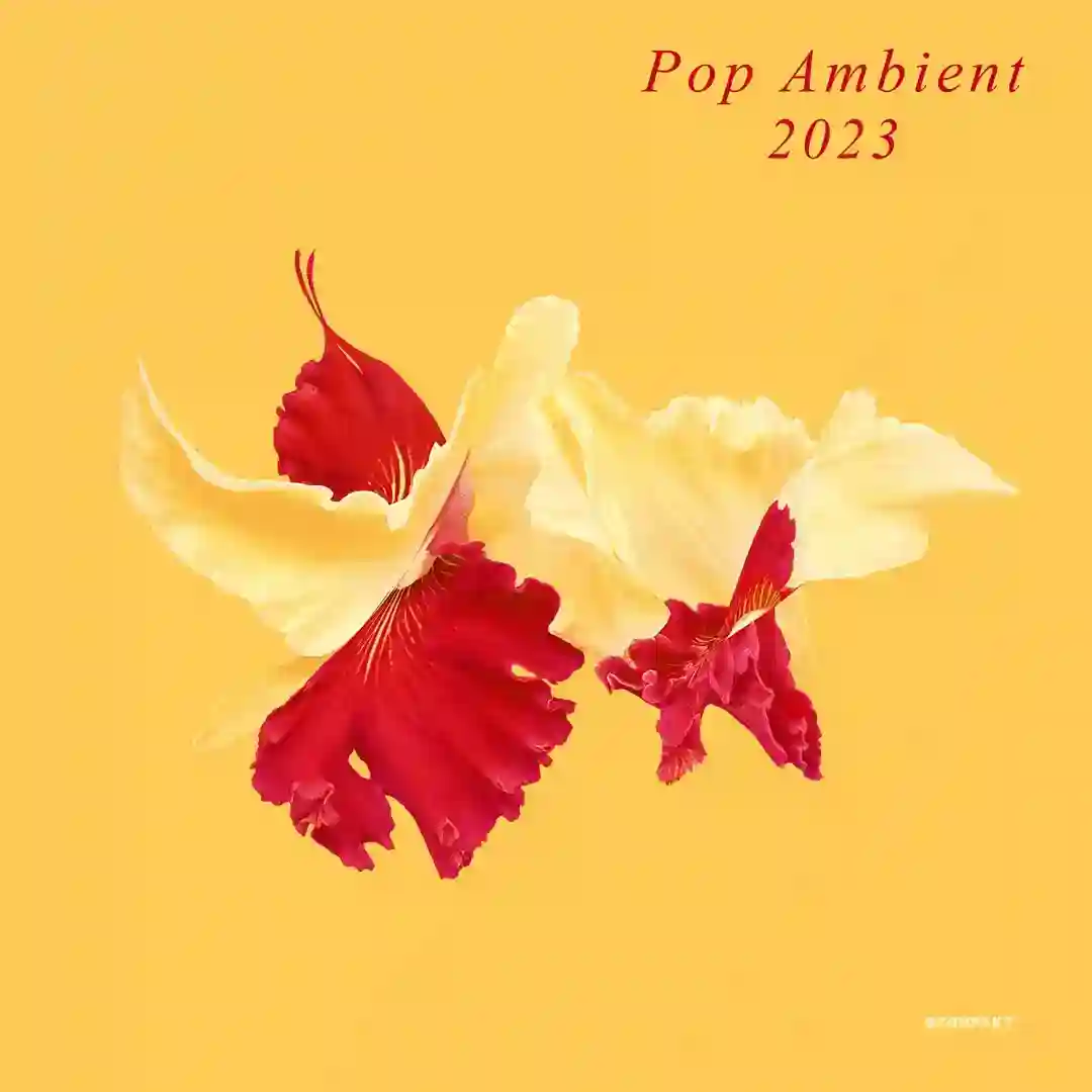 Bolzano Sessions V cover
