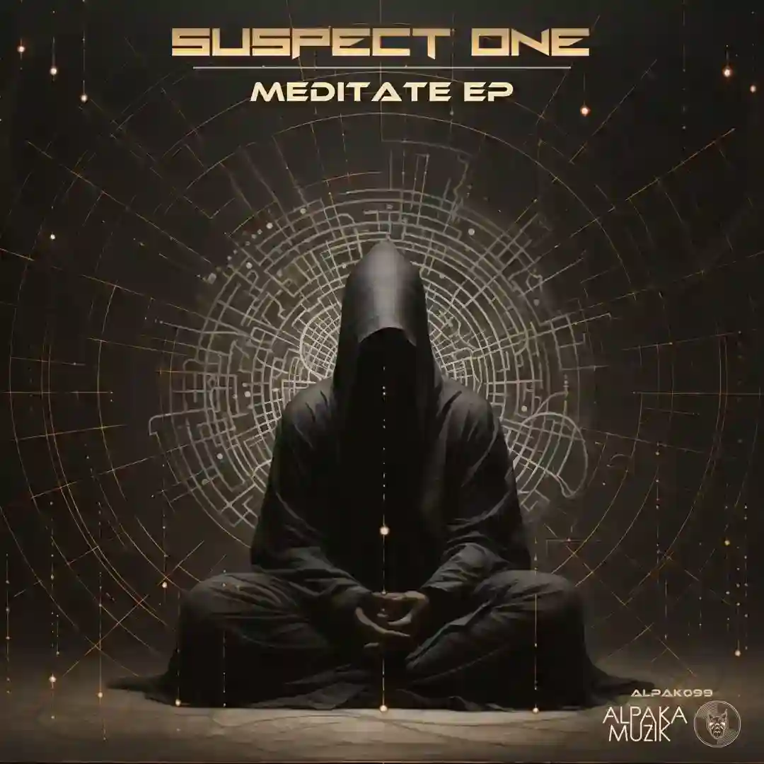 Concentrate (Original Mix) cover