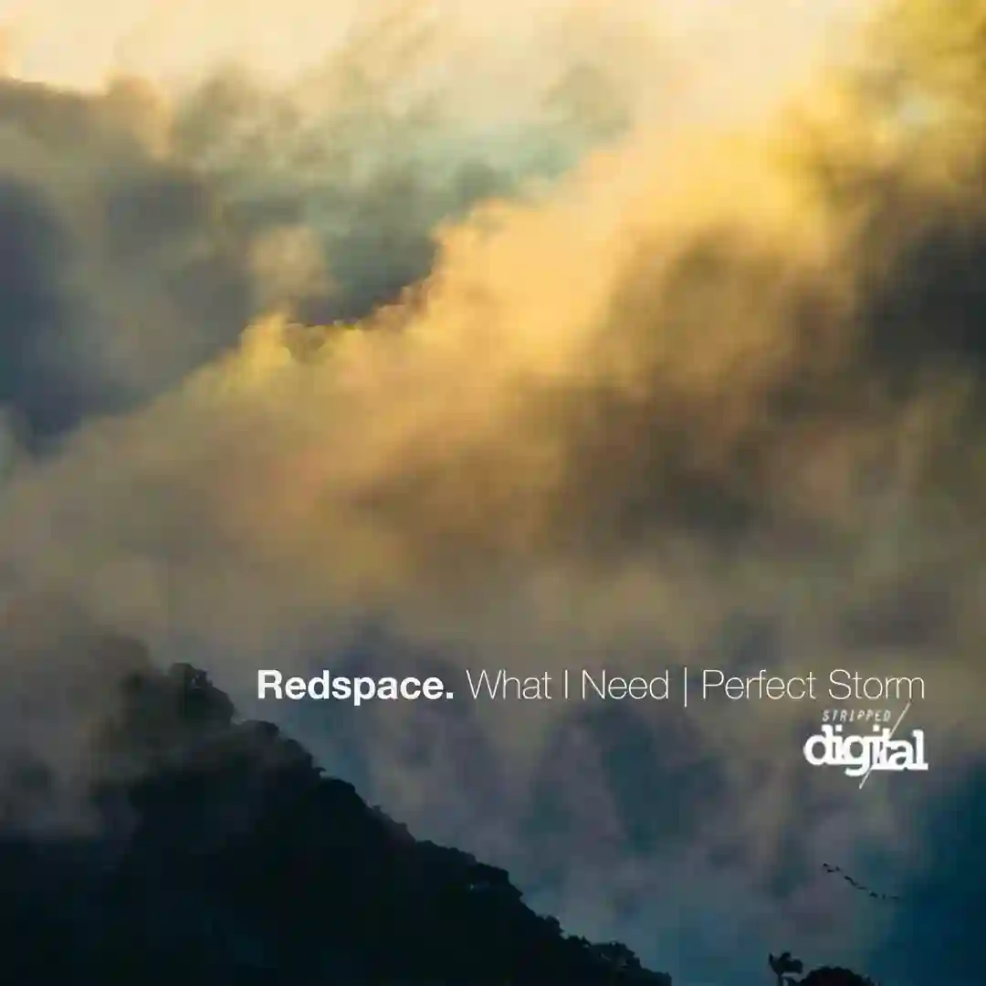 What I Need (Original Mix) cover