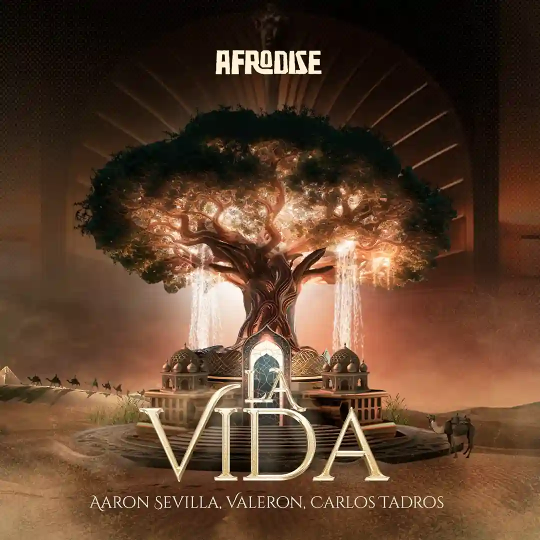 La Vida (Original Mix) cover