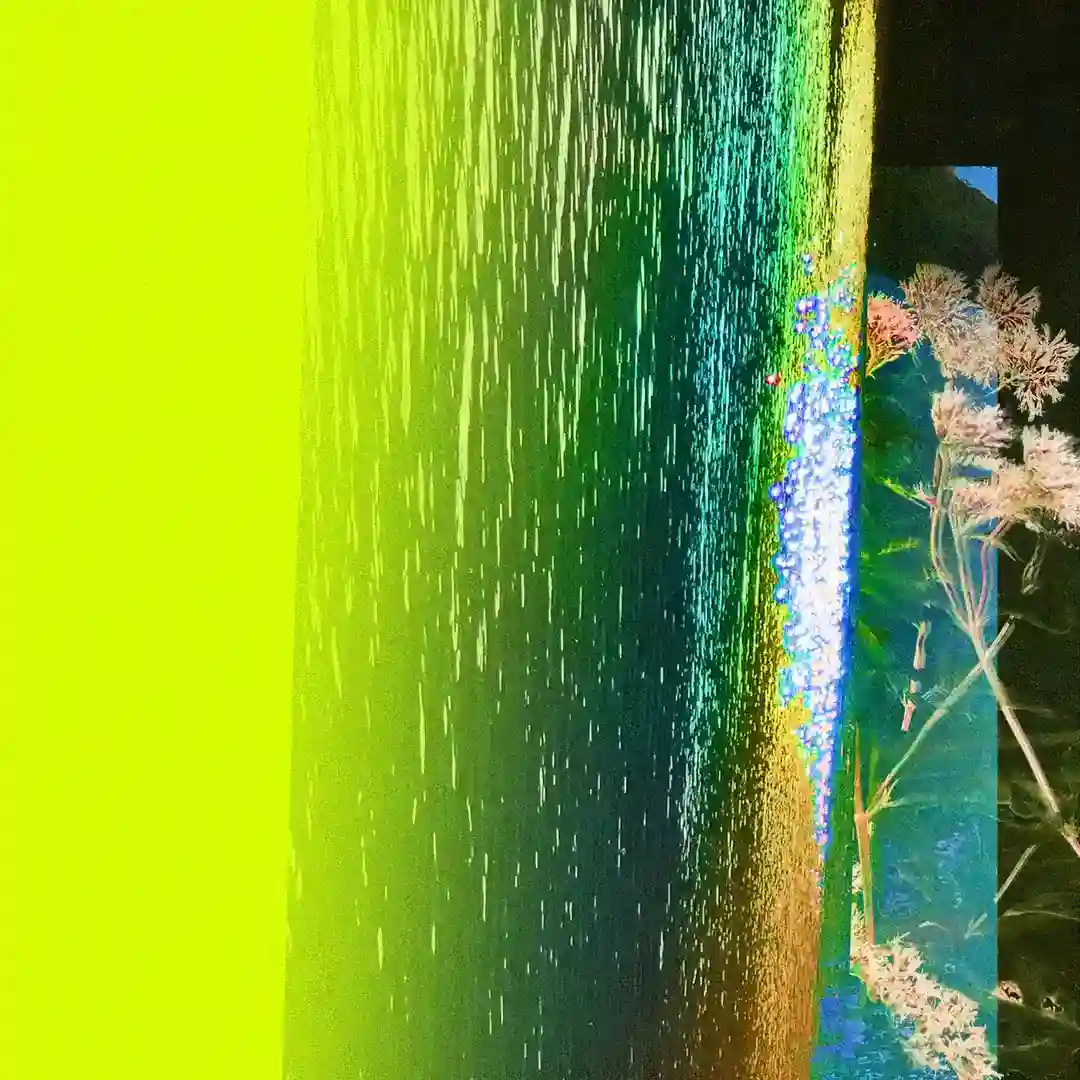 Fungi Spin cover