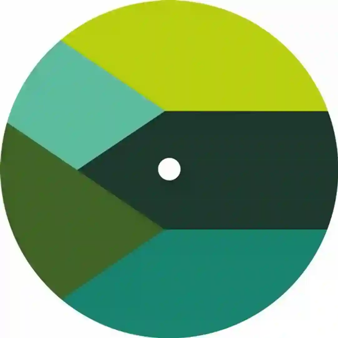 Pelican's Flight cover