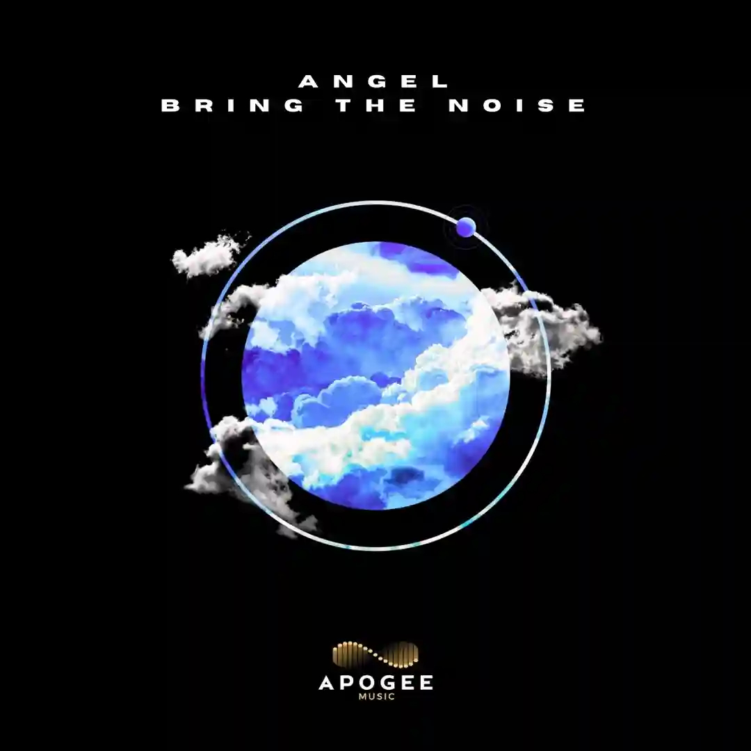 Bring The Noise (Extended Mix) cover