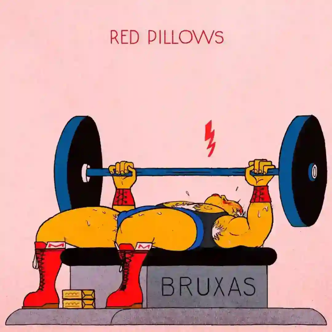 Red Pillows cover