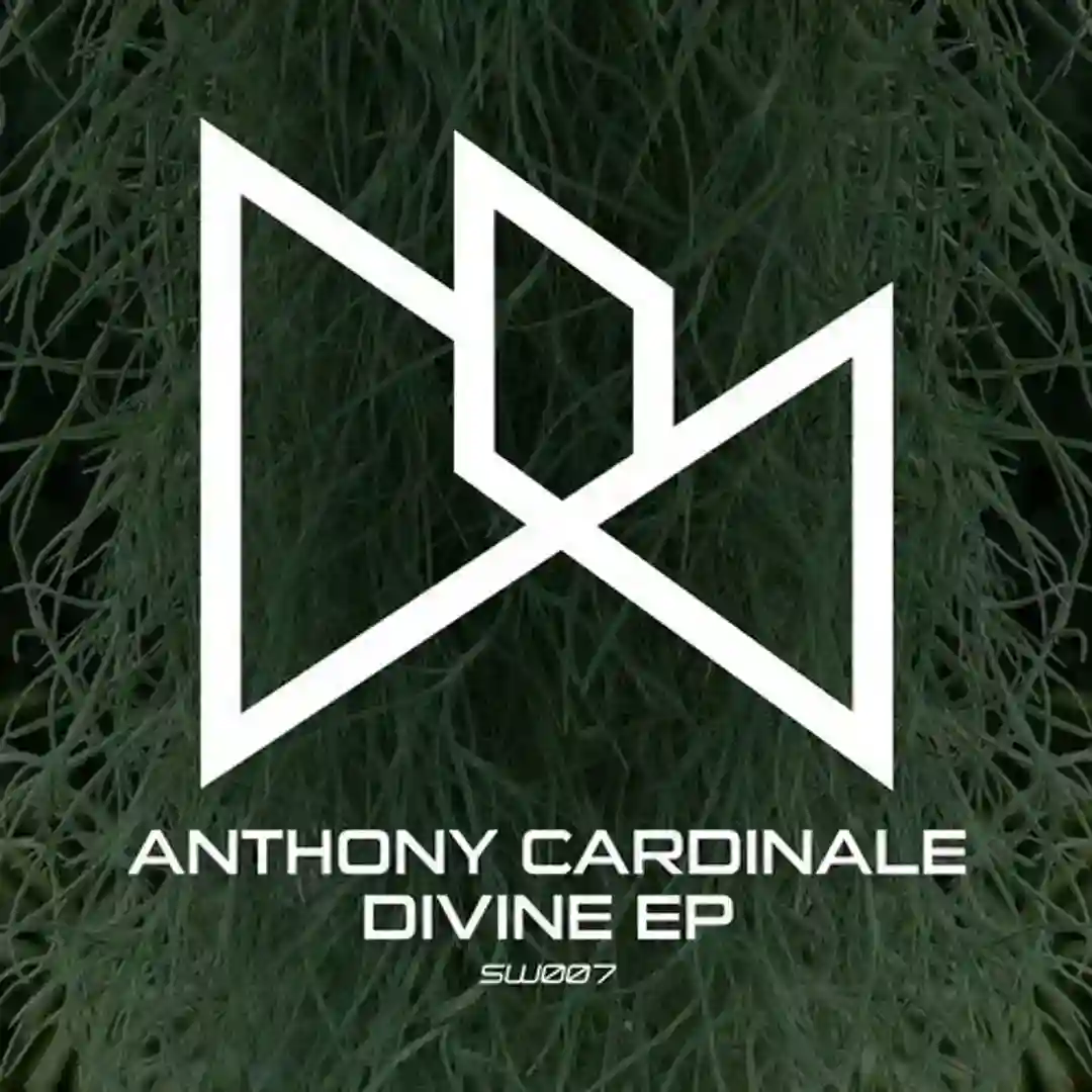 Divine (Original Mix) cover