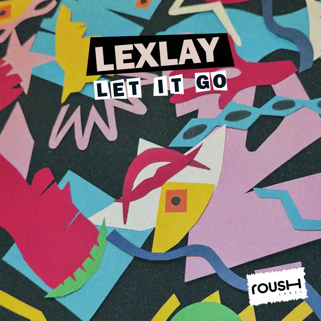 Lei It Go (Original Mix) cover