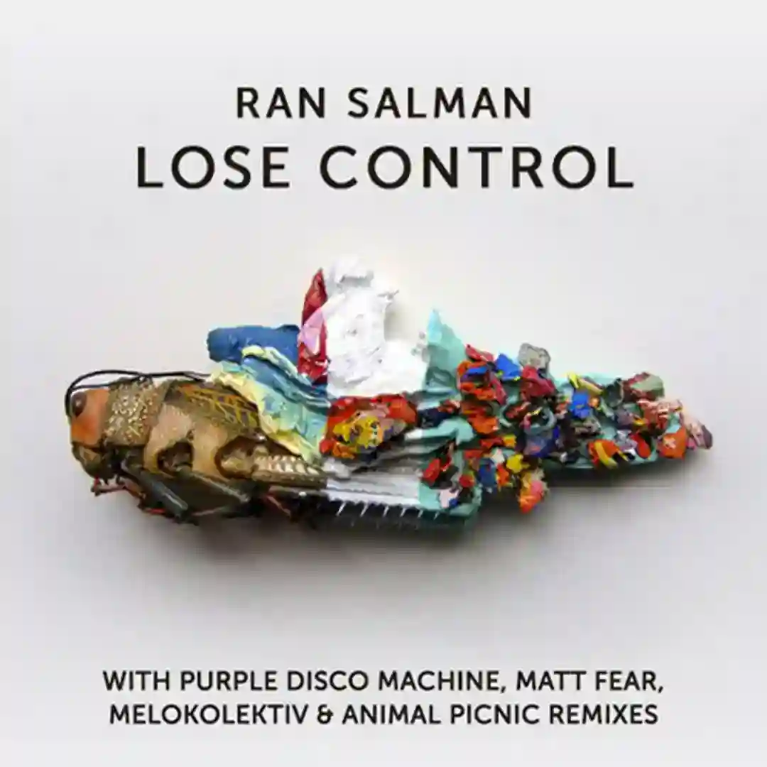 Lose Control (Original Mix) cover