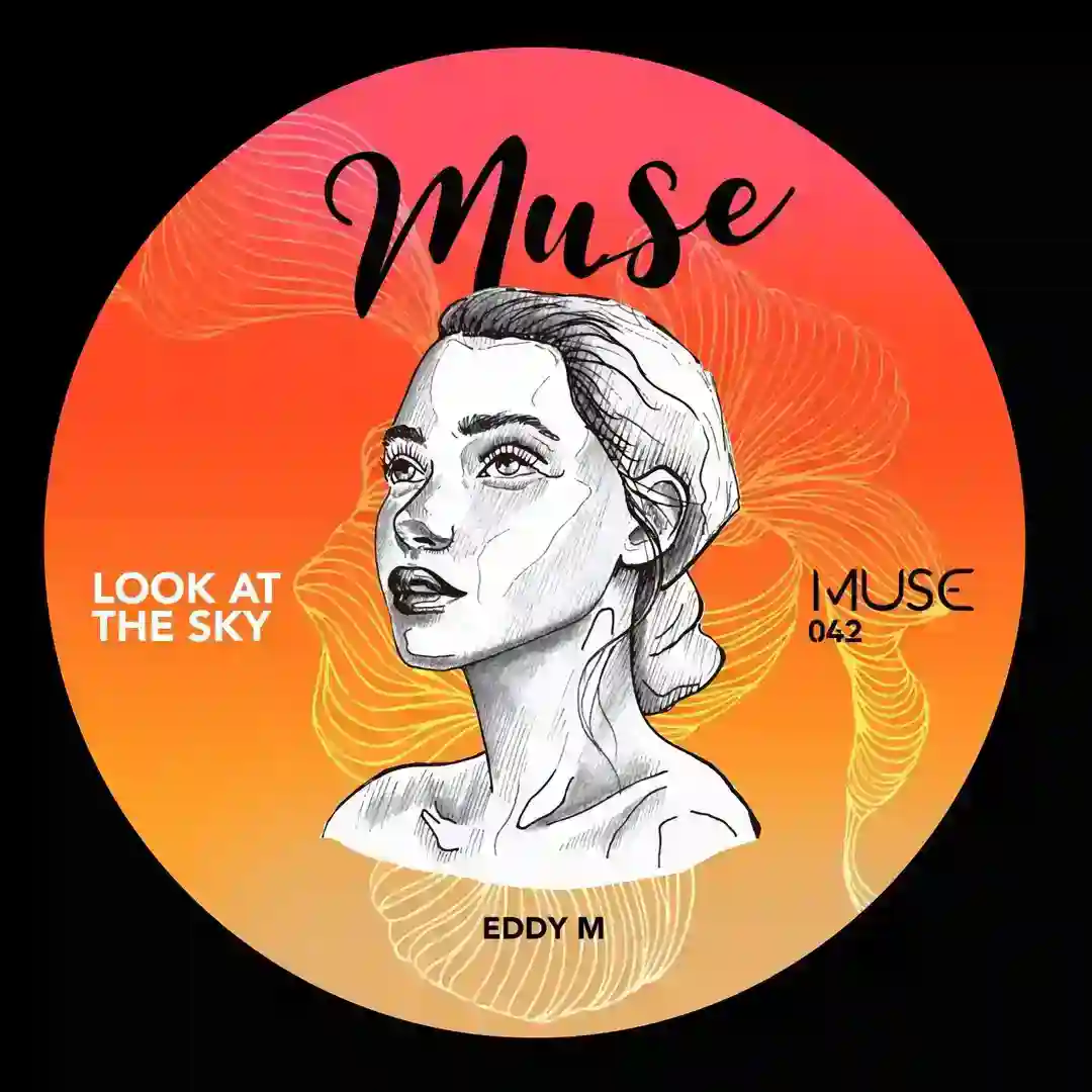 Look At The Sky (Original Mix) cover