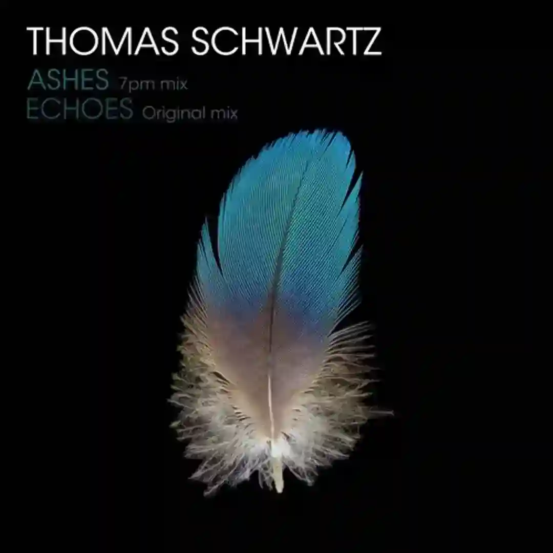 Echoes (Original Mix) cover