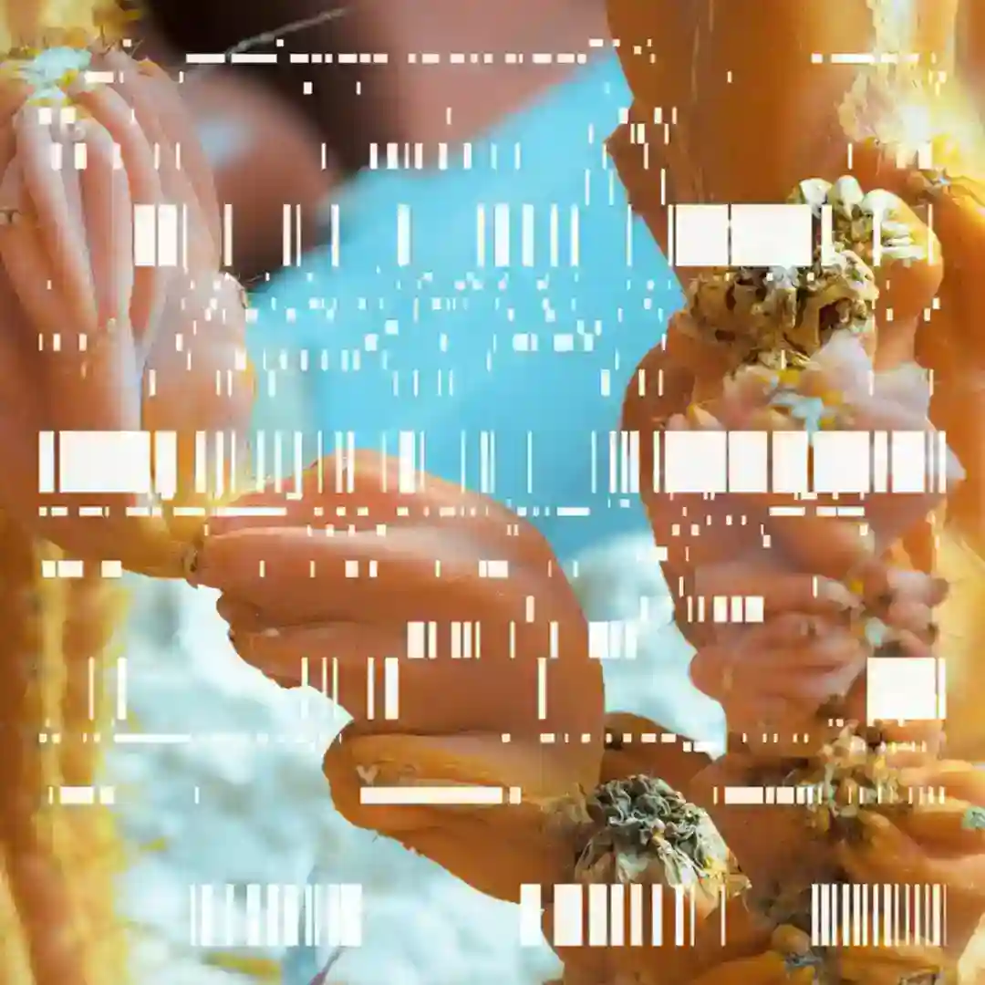 PH0L8 cover