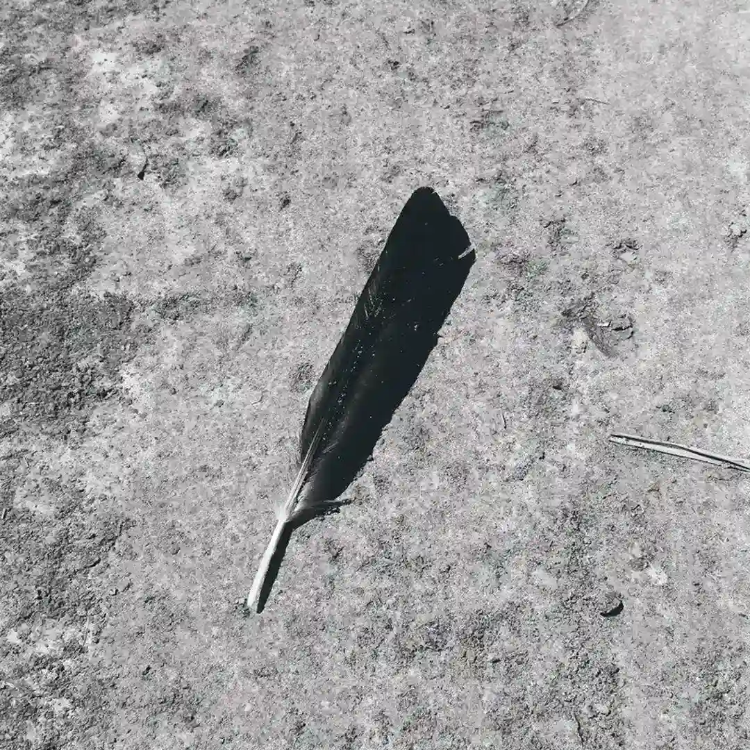 Initiation cover