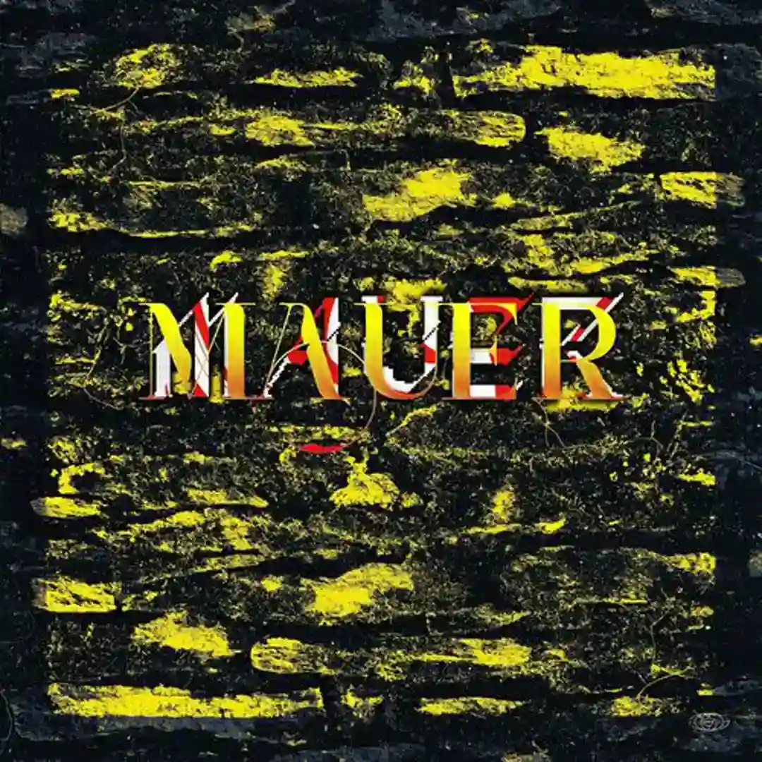 Zwischen unseren Mauern (Ayako Mori Remix) cover