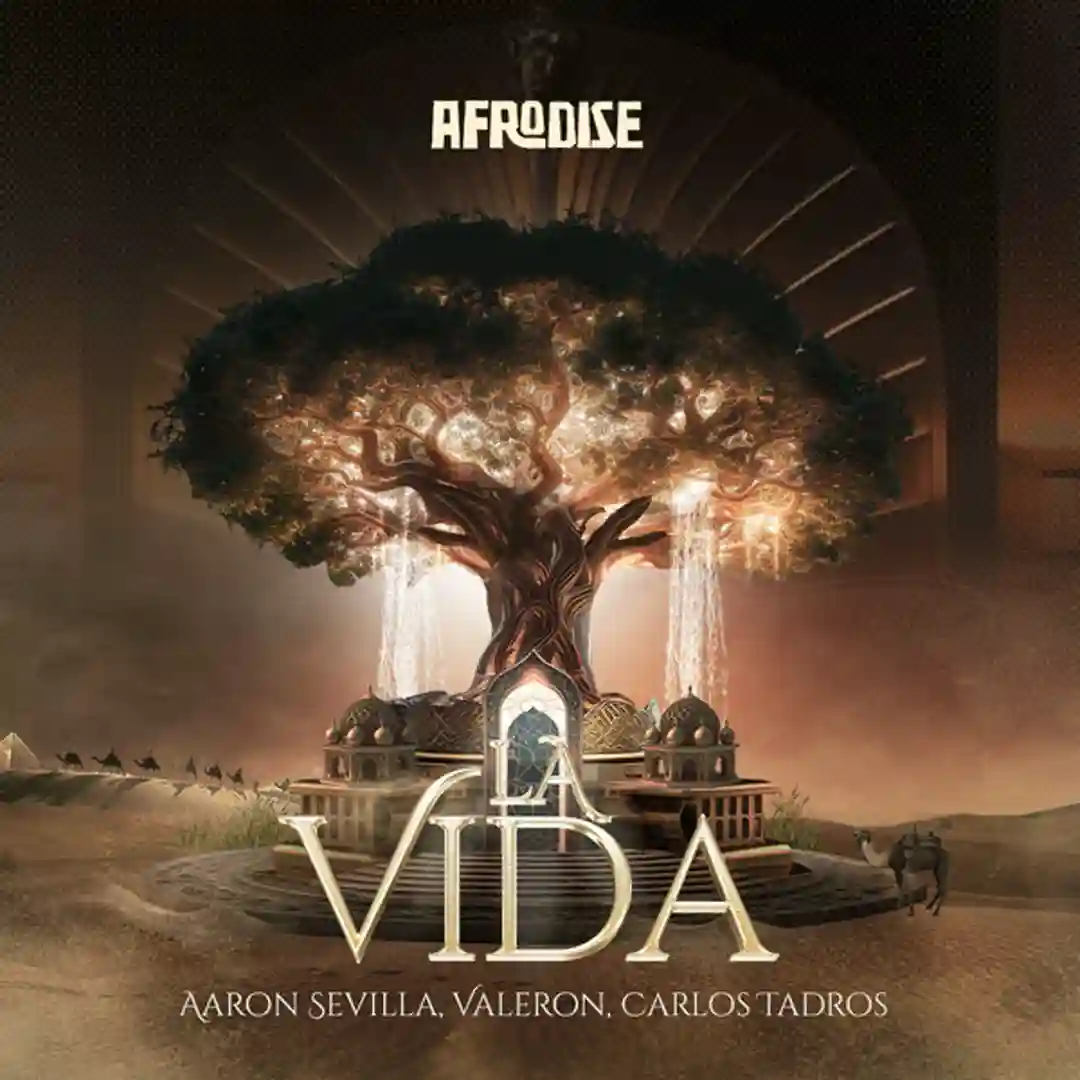 La Vida (Original Mix) cover