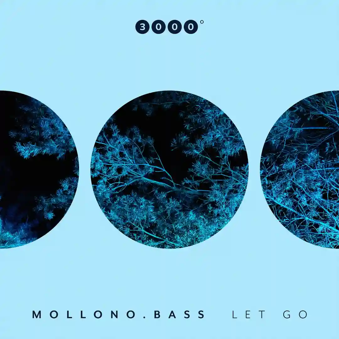 Let Go (Club Mix) cover