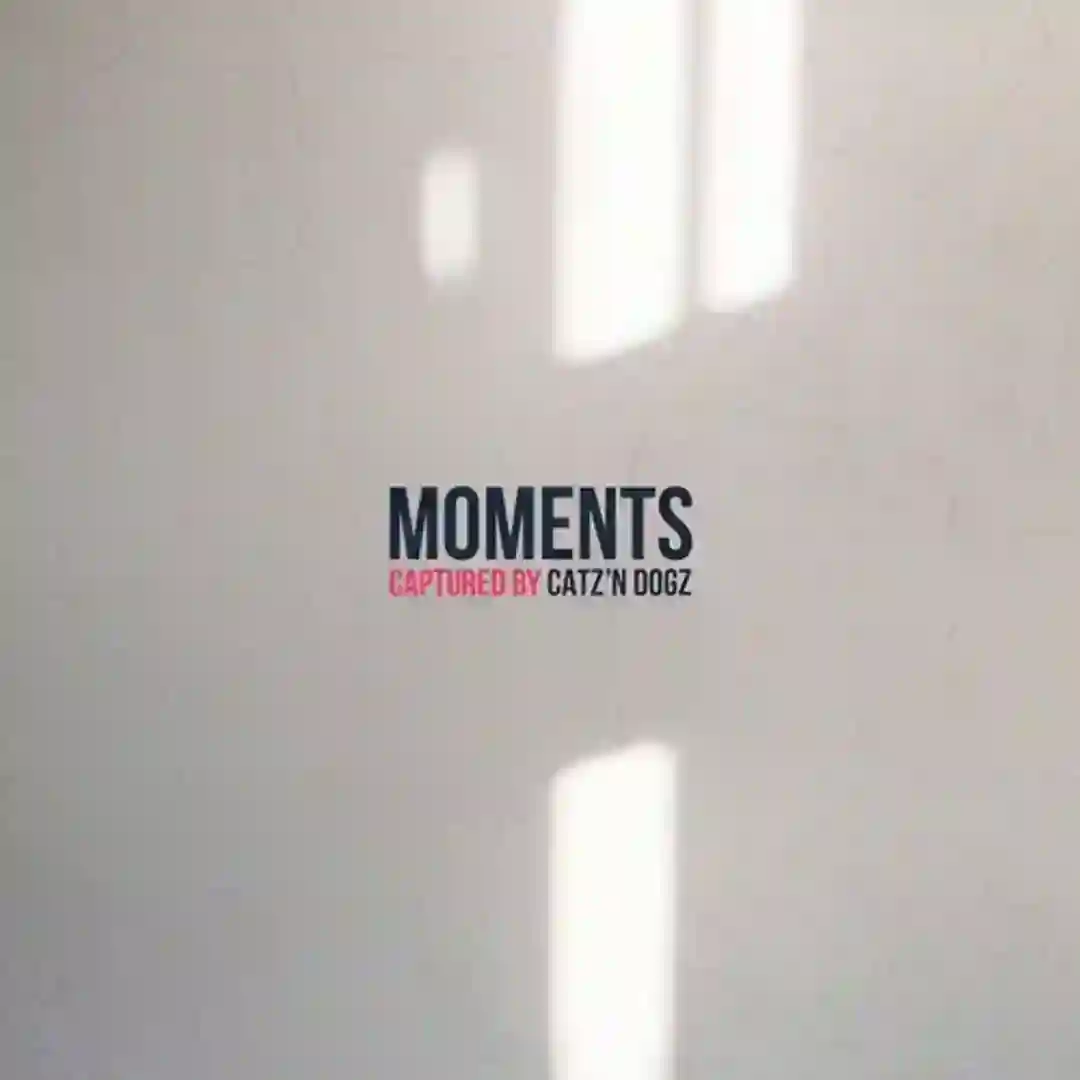 Love (Original Mix) cover