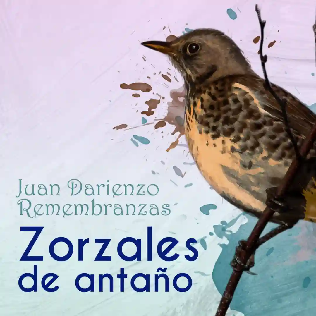 Sentimiento Gaucho (Original Mix) cover