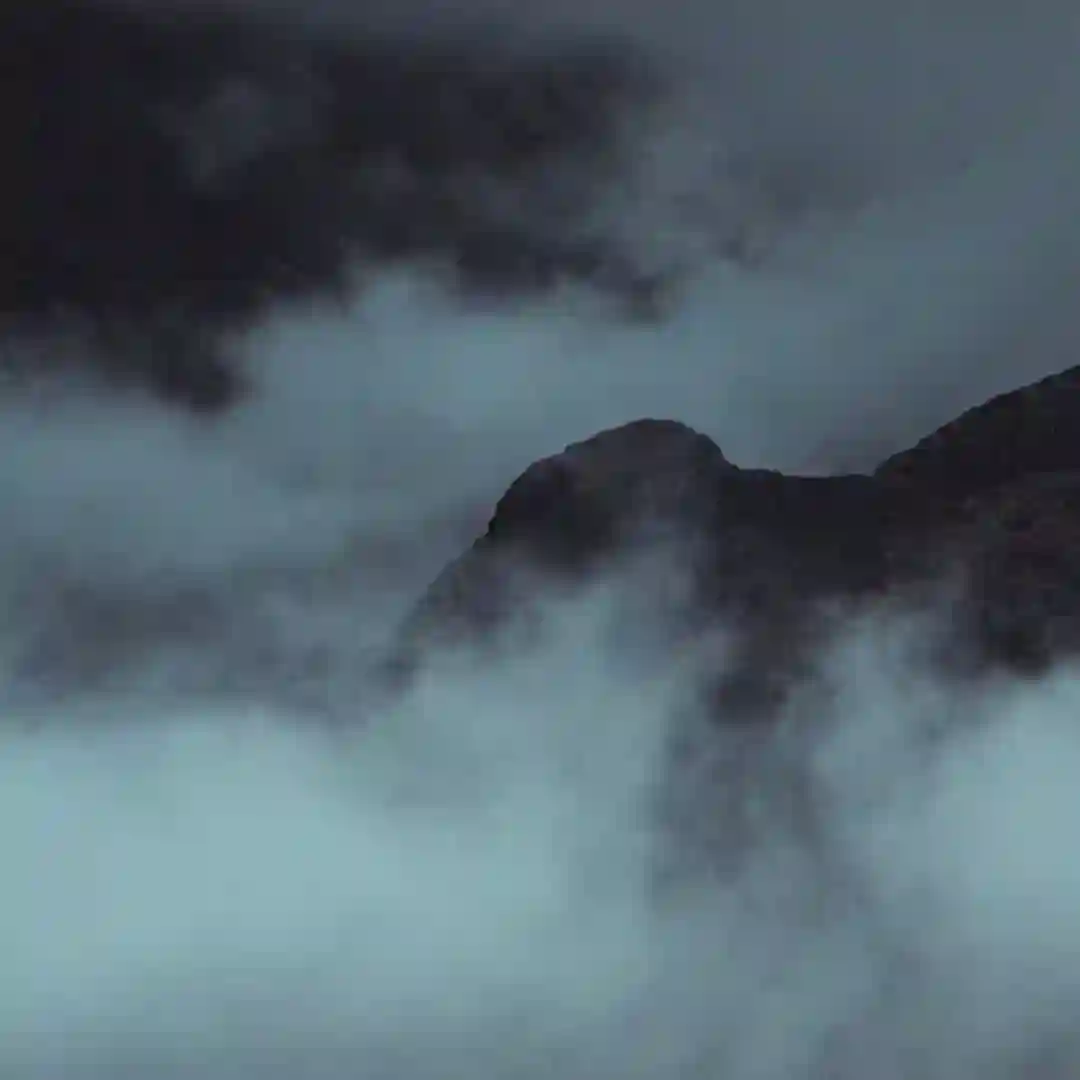 Night Scenes cover