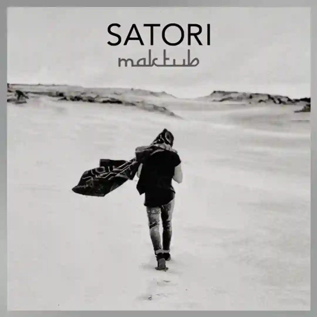 Shotgun (Original Mix) cover