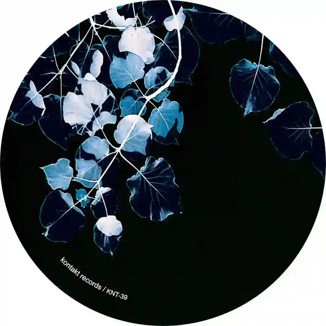 Precious Times Morella Roots feat. Prince Morella (Original Mix) cover