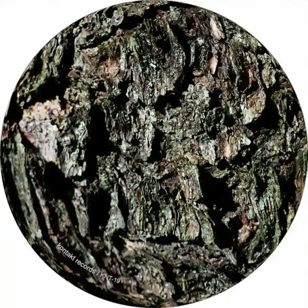 Skagerak (Shed's Well Equalized Mix) cover
