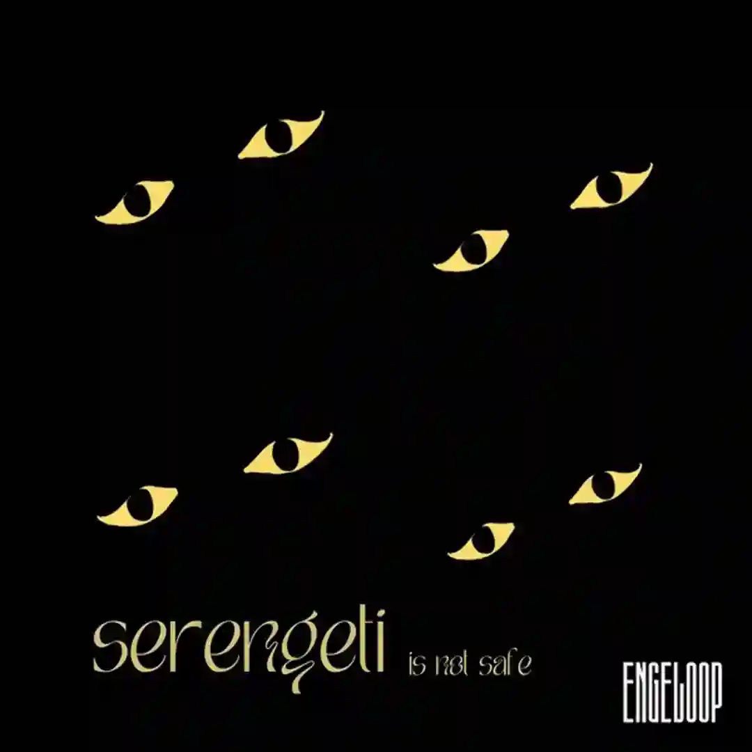 Serengeti Is Not Safe (Original Mix) cover