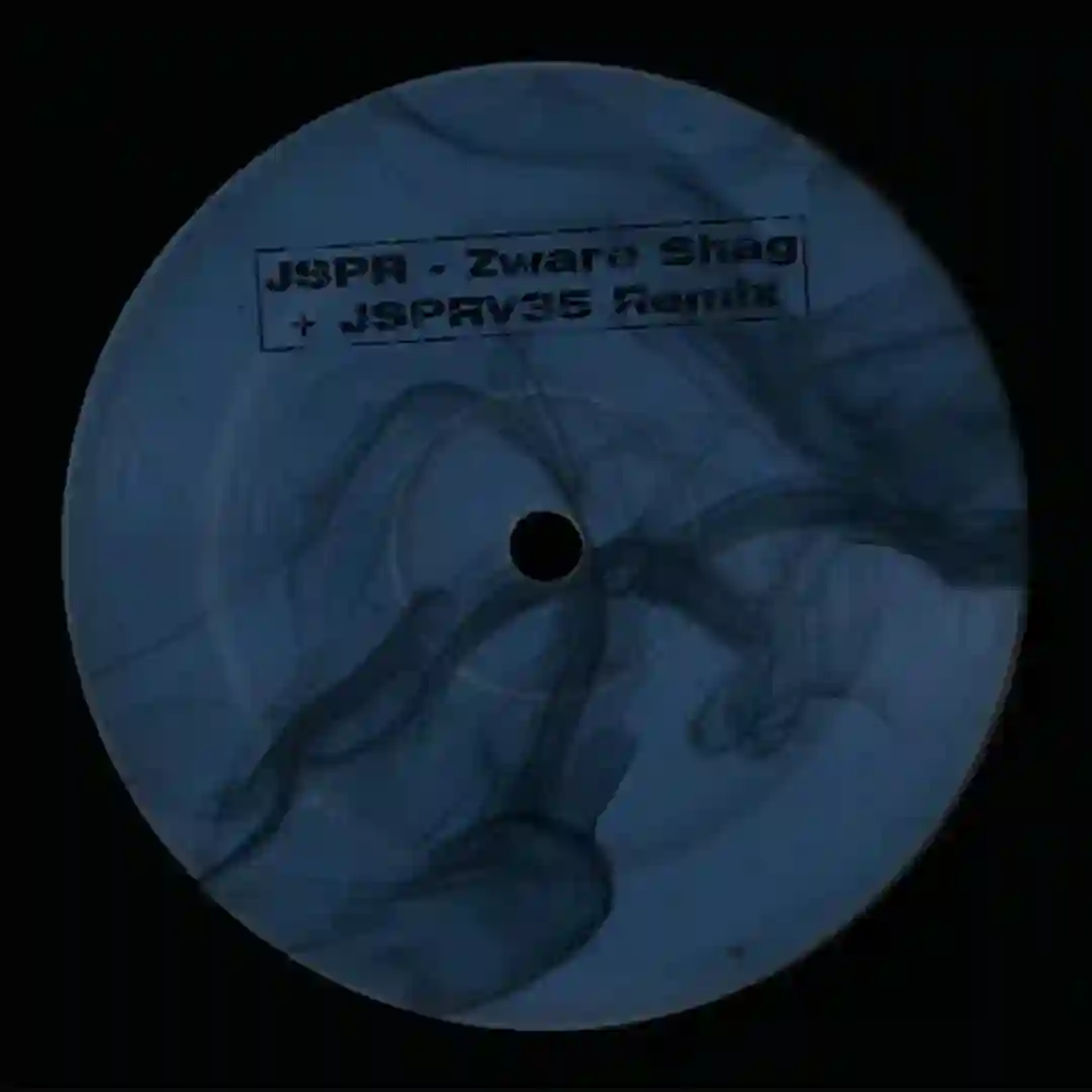 Zware Shag (JSPRV35 Remix) cover