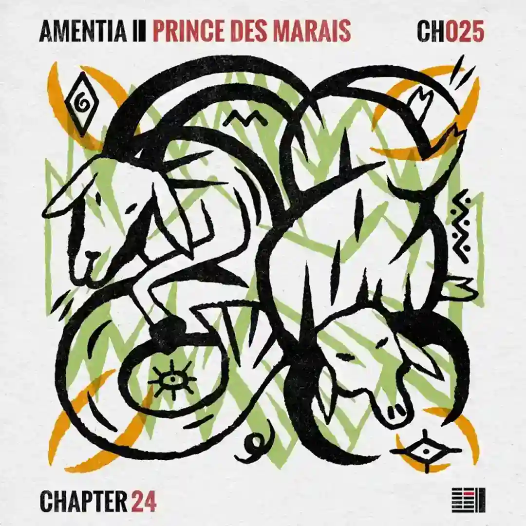 Prince Des Marais cover