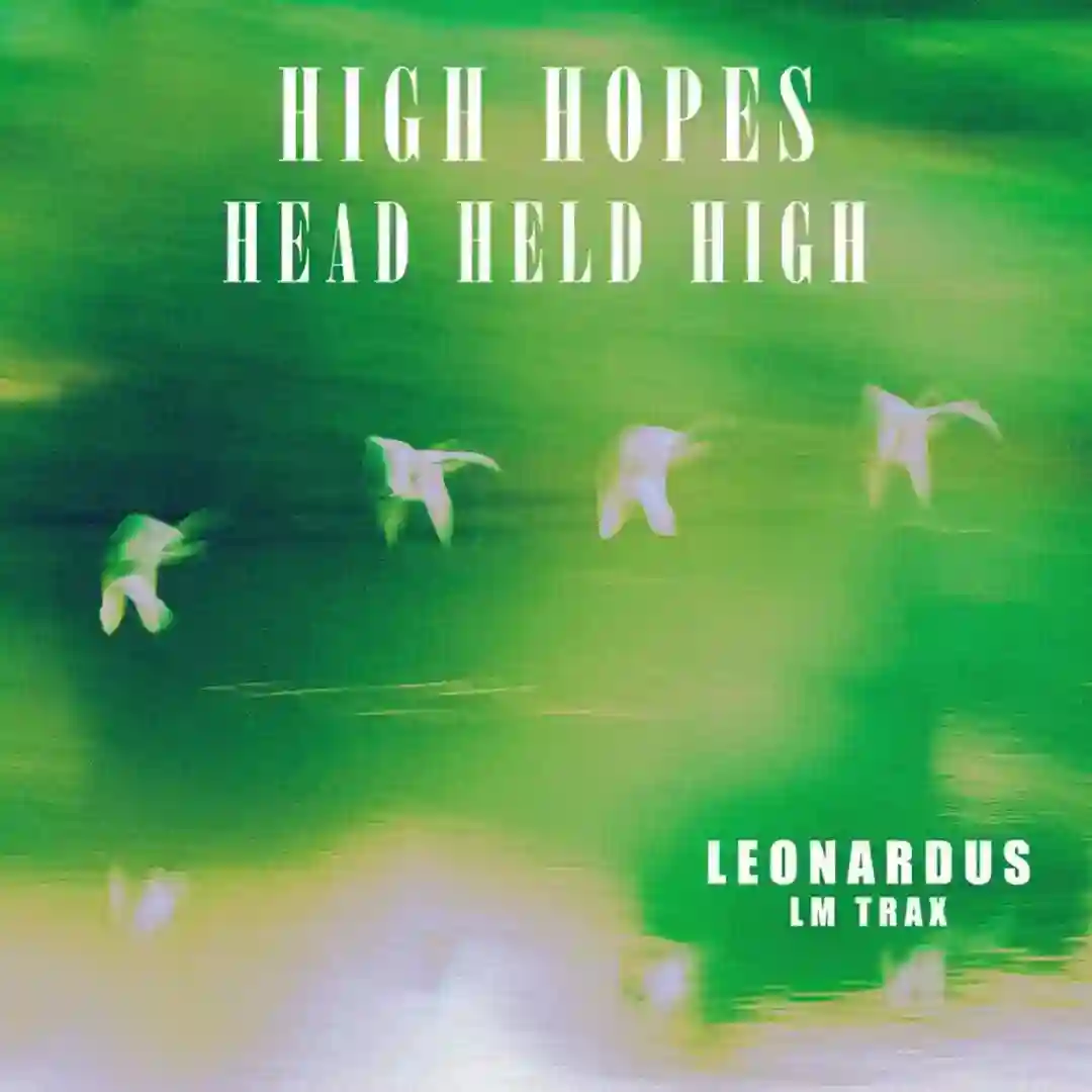 High Hopes cover