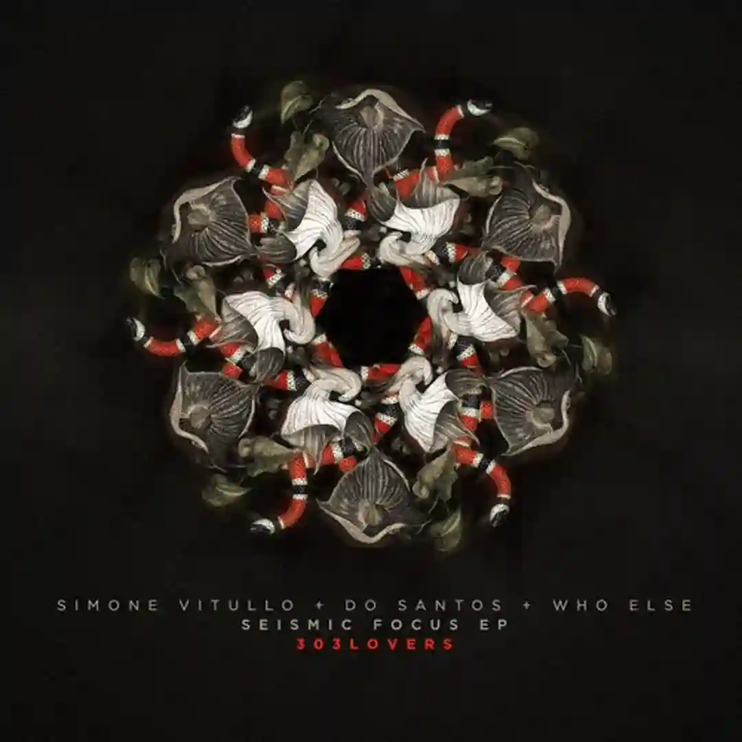 Seismic Focus EP (303L1548) cover