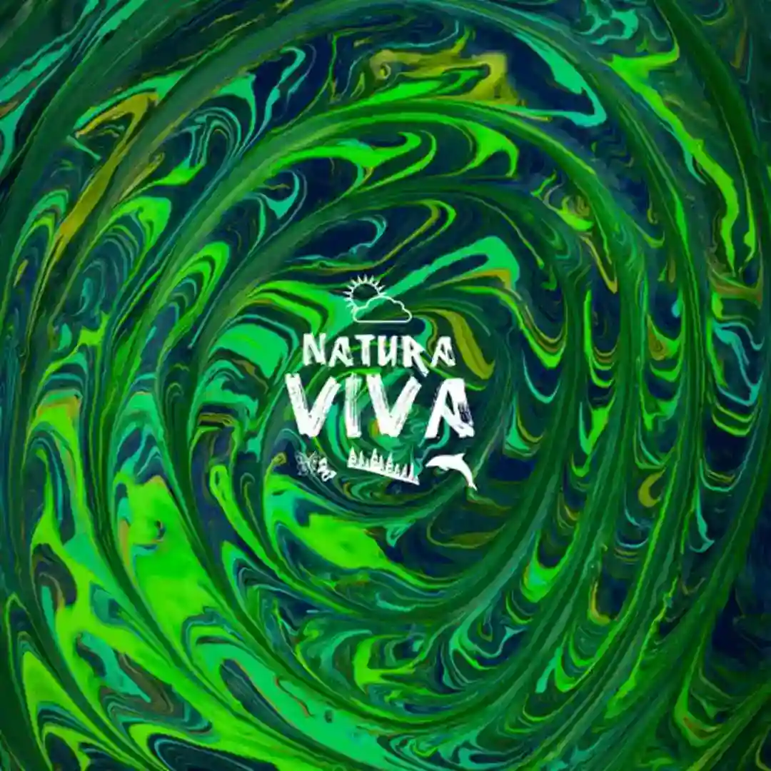 Waves And Horizons cover