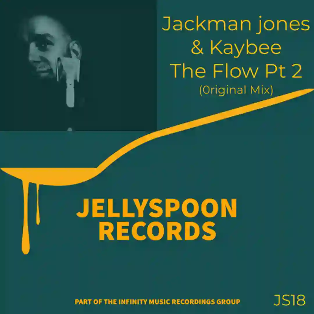 The Flow, Pt. 2 cover