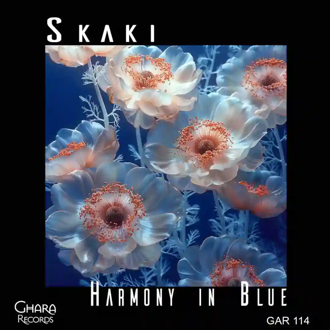 Harmony in Blue (Original Mix) cover