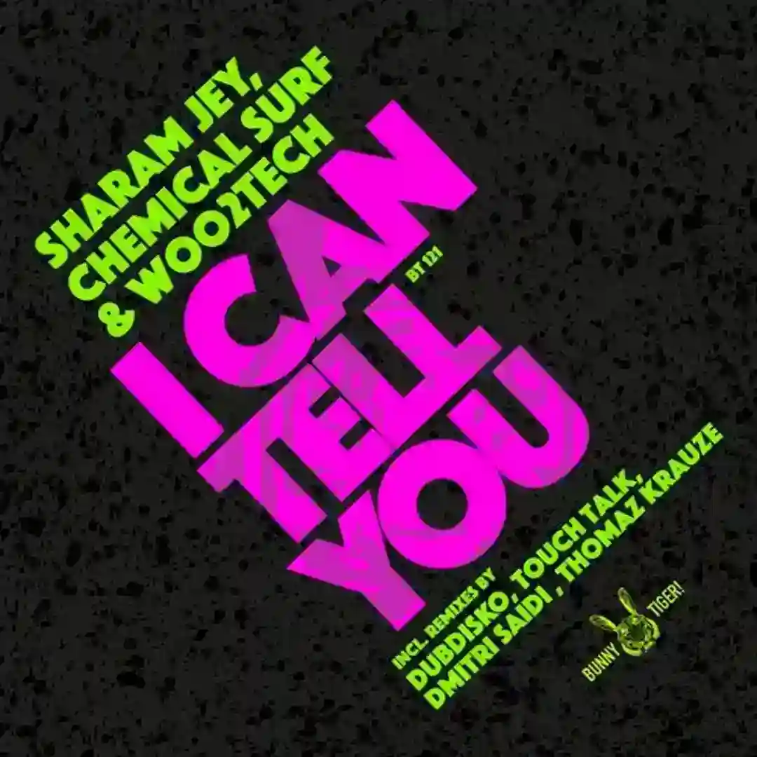 I Can Tell You (Dubdisko Remix) cover