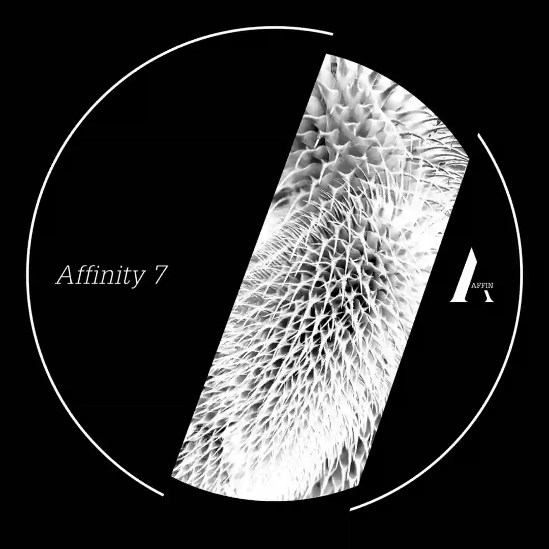 Grain 2 (A Ras Edit) cover