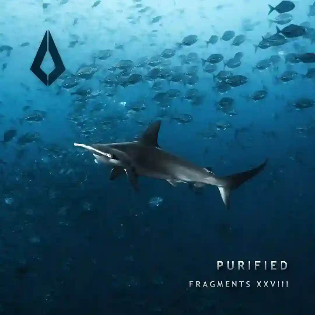 Sirens (Extended Mix) cover