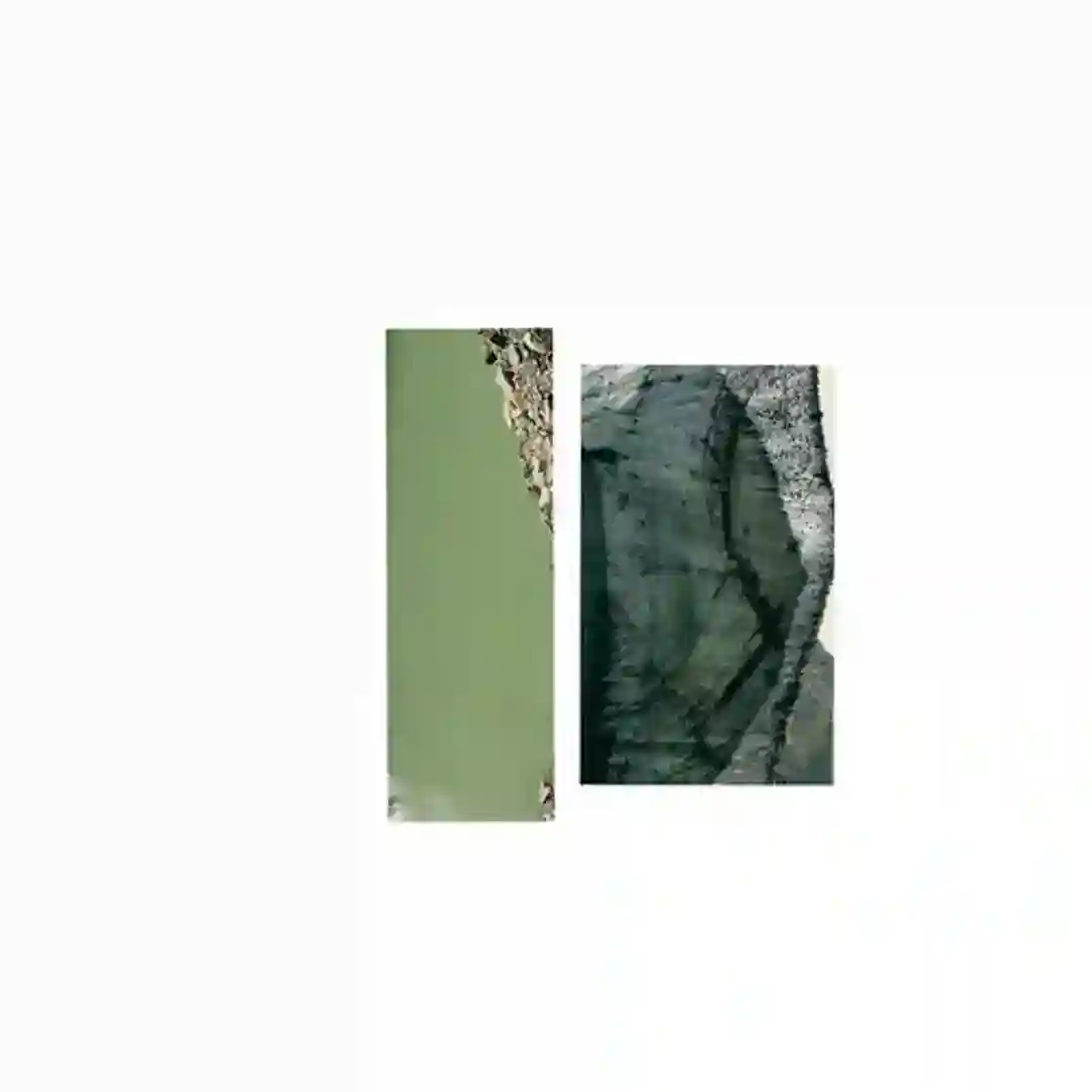 Arapovite cover