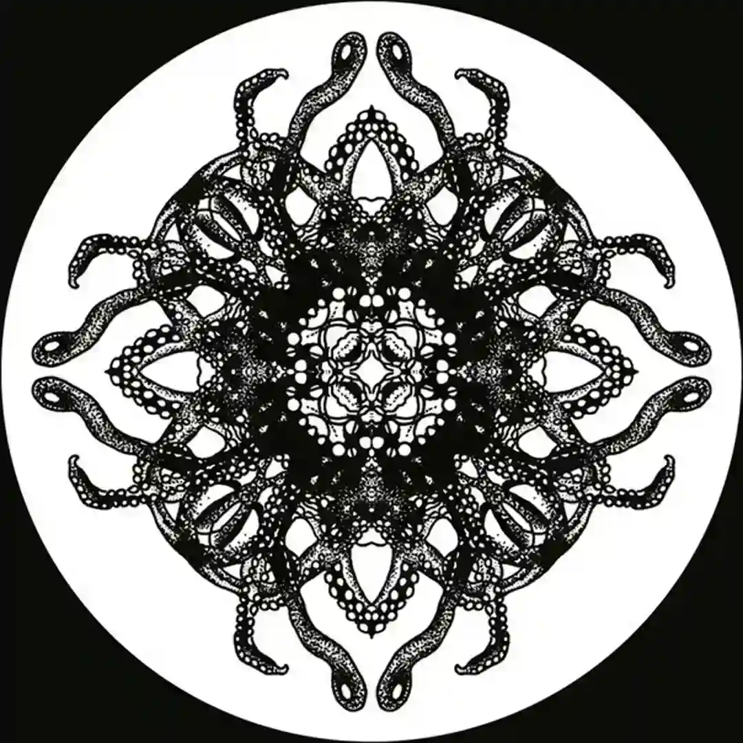 Contortions cover