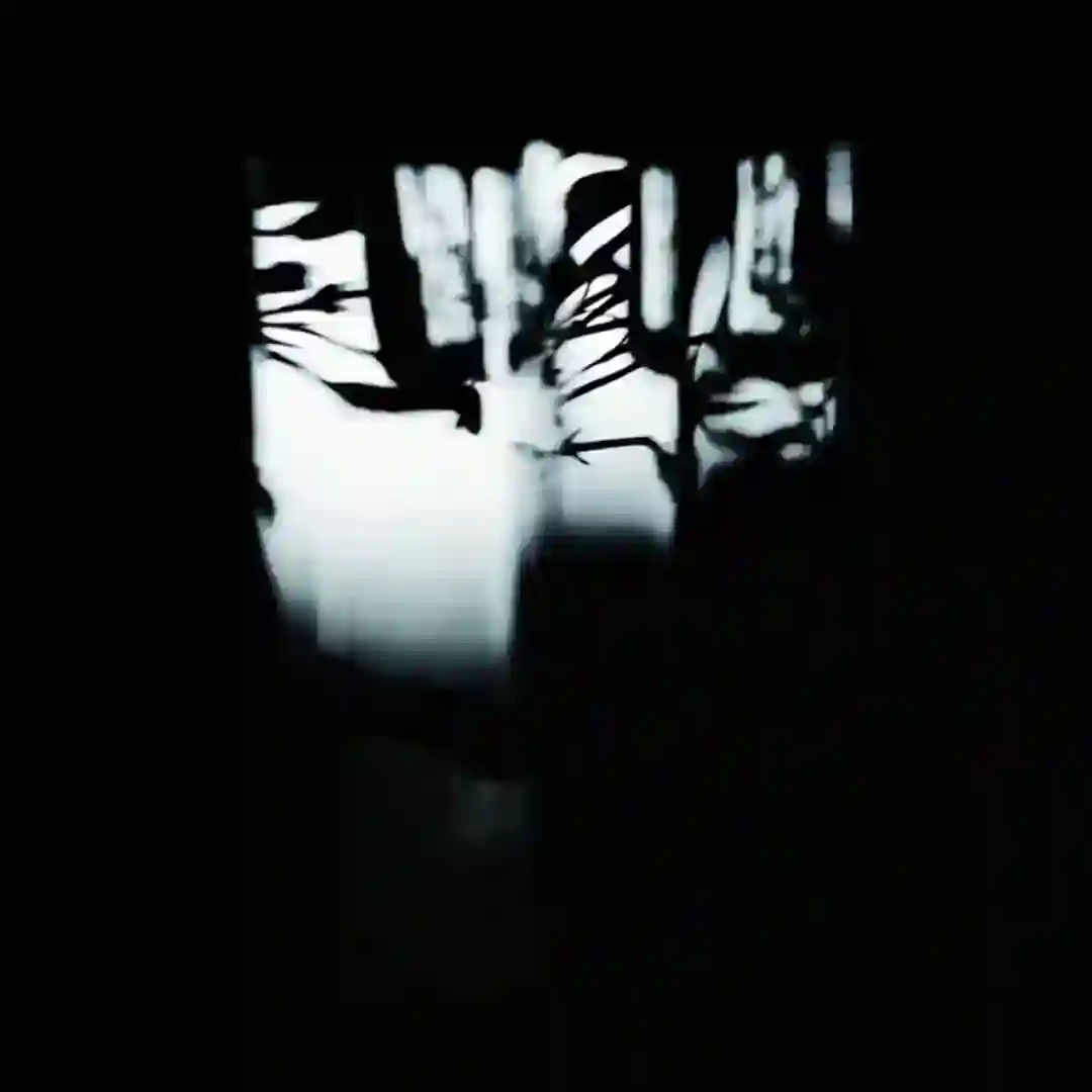 11°21'0''N 142°12'0''E cover