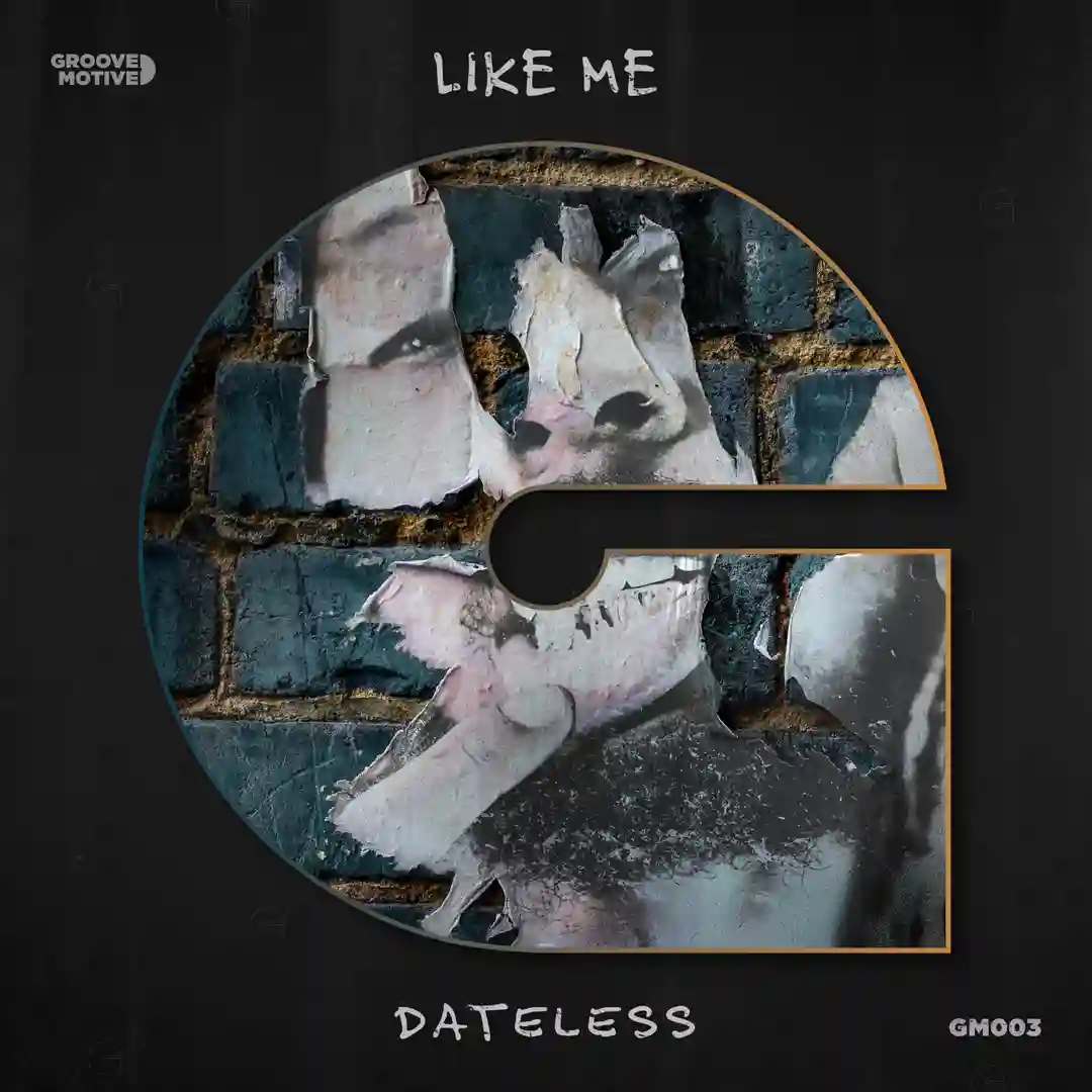 Like Me cover