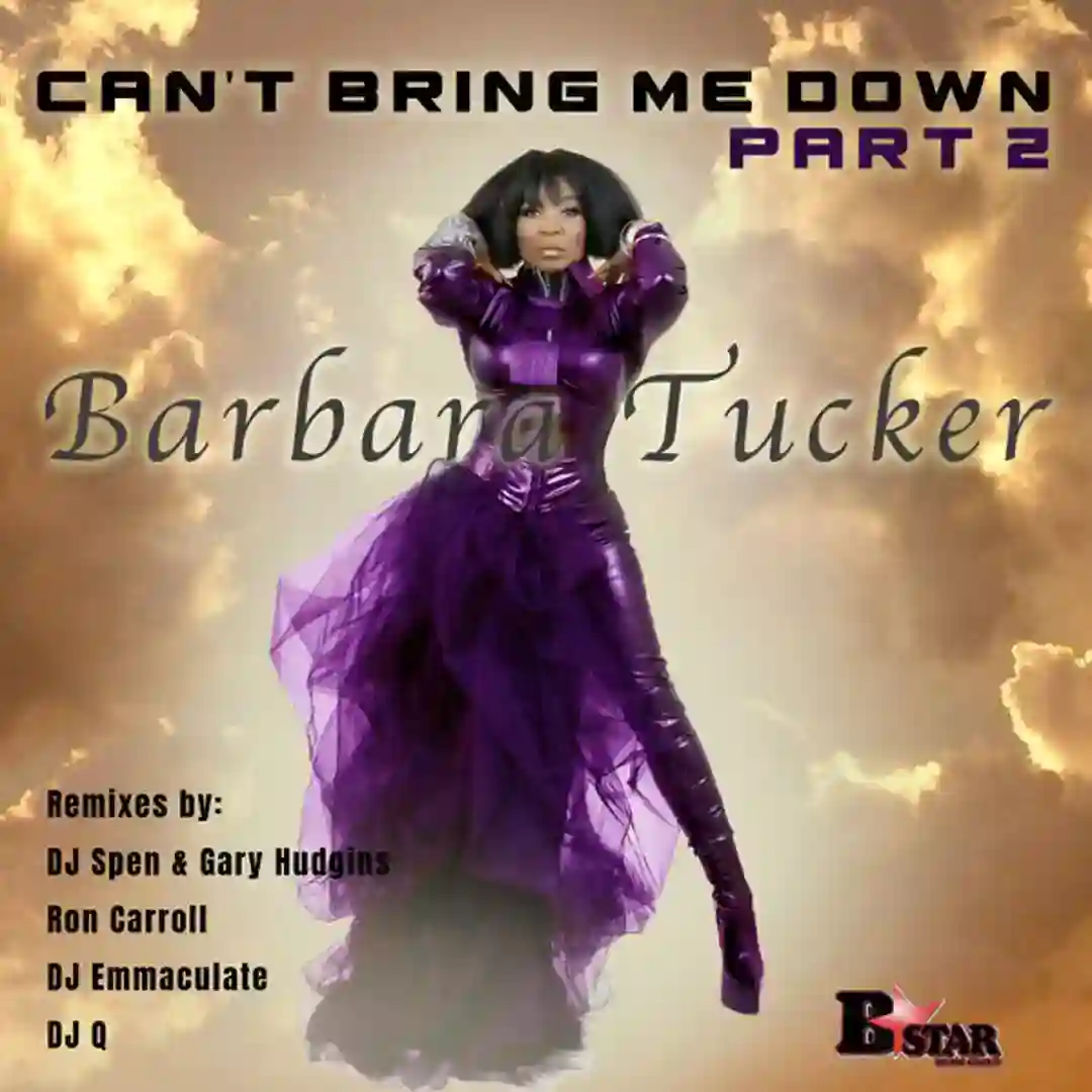 Can't Bring Me Down Part 2 (Ron Carroll's Chicago Boogie Mix) cover