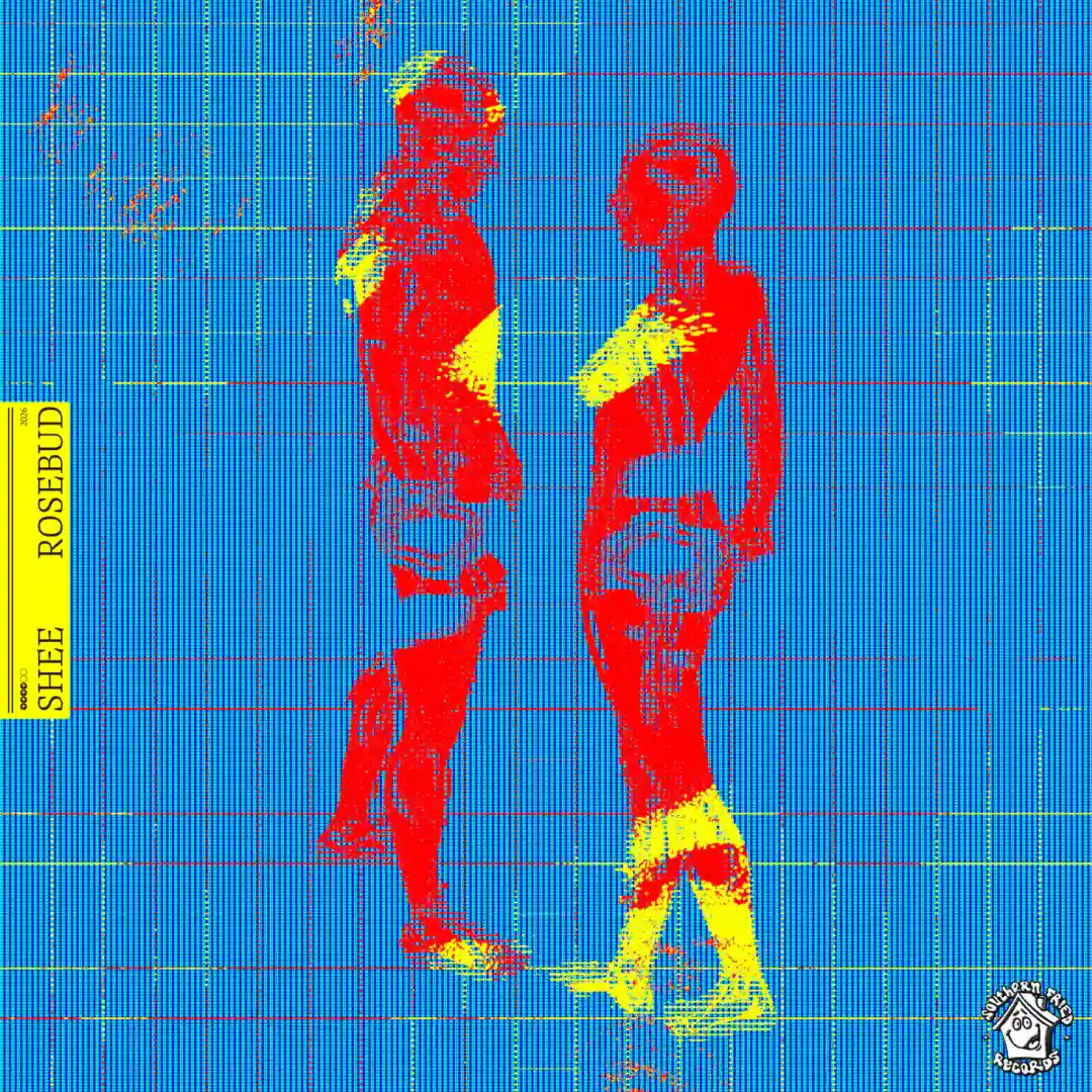 Skylife (Original Mix) cover