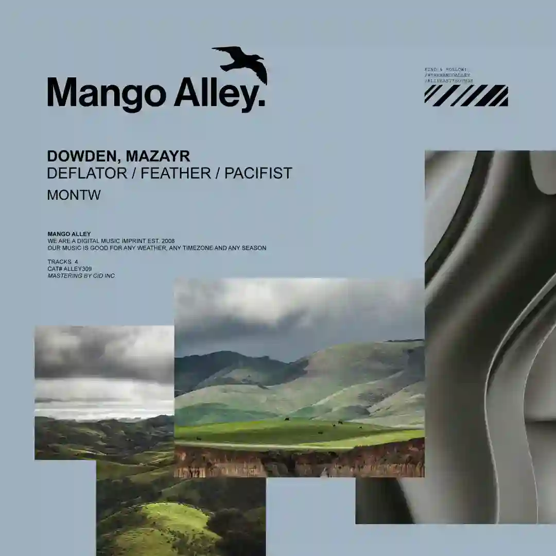 Deflator (Montw Remix) cover