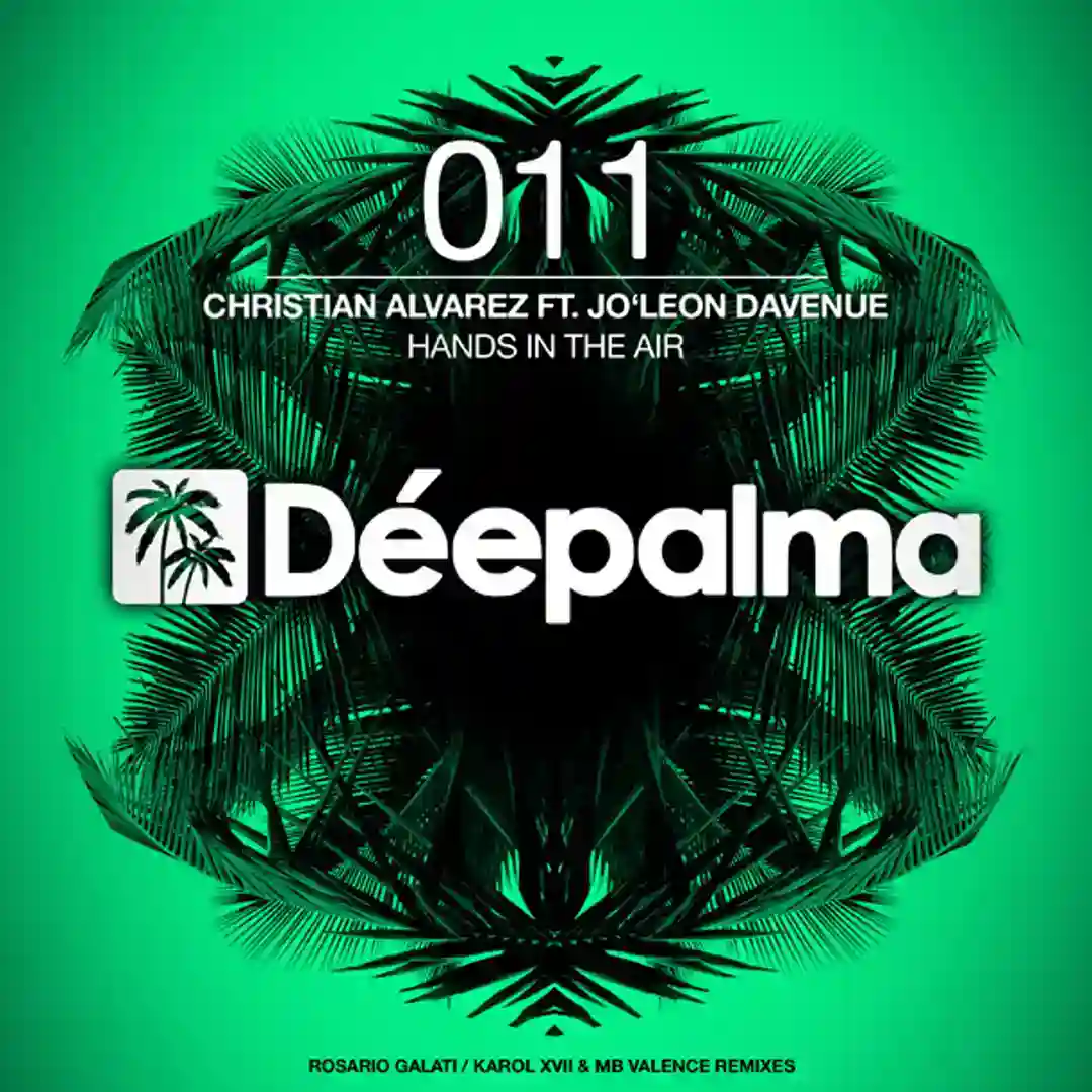 Hands In The Air (Accapella DJ Tool) cover