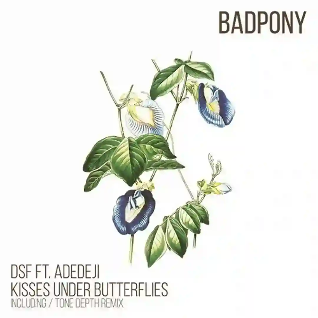 Kisses Under Butterflies (Tone Depth Remix) cover