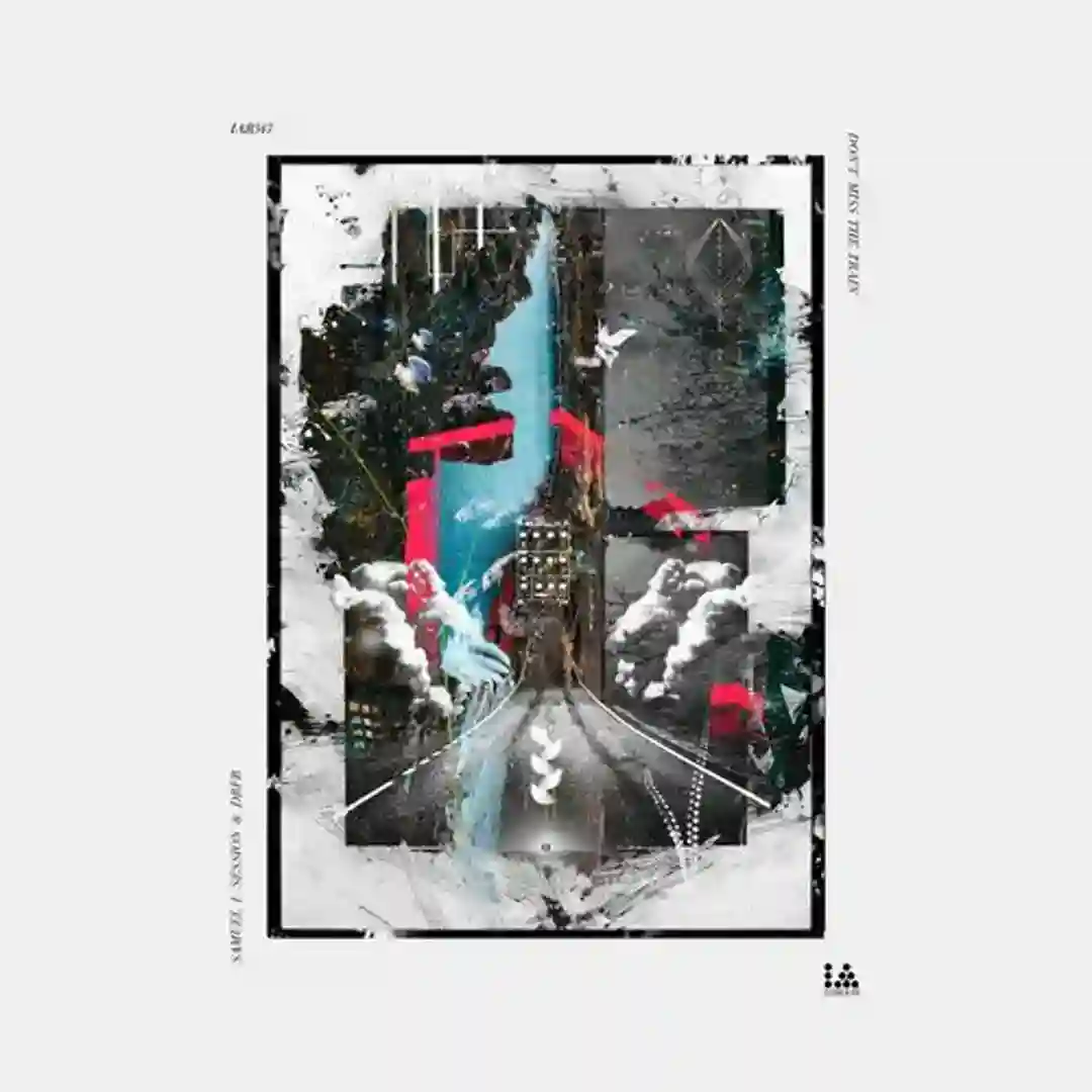 The Train (DBFB Vision) cover