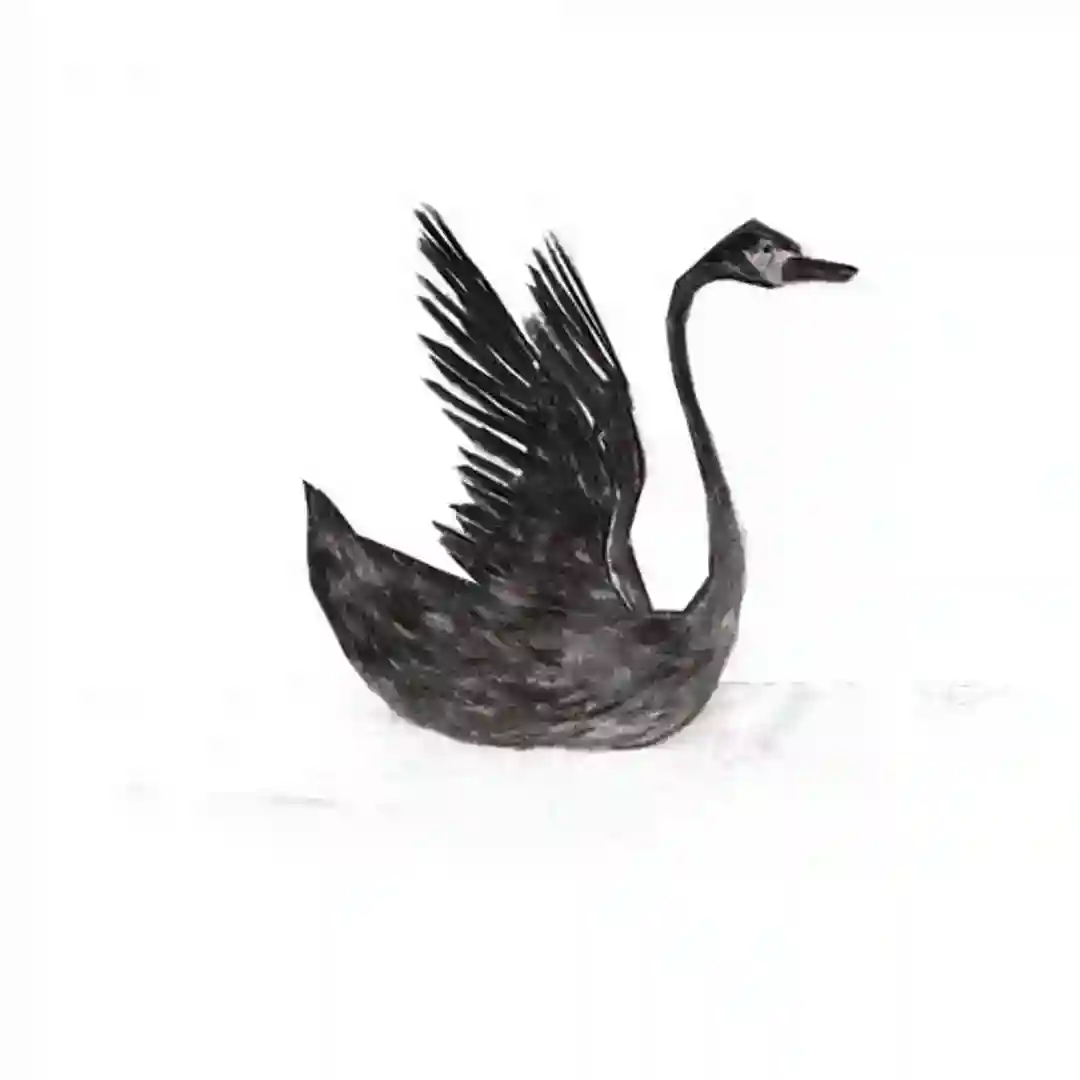 Black Swan cover