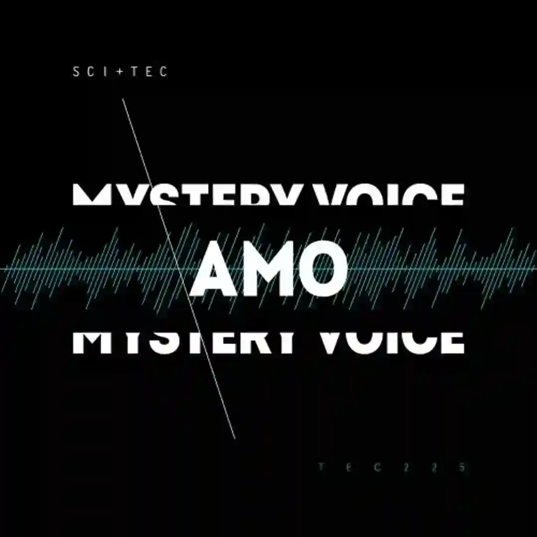Mystery Voice cover
