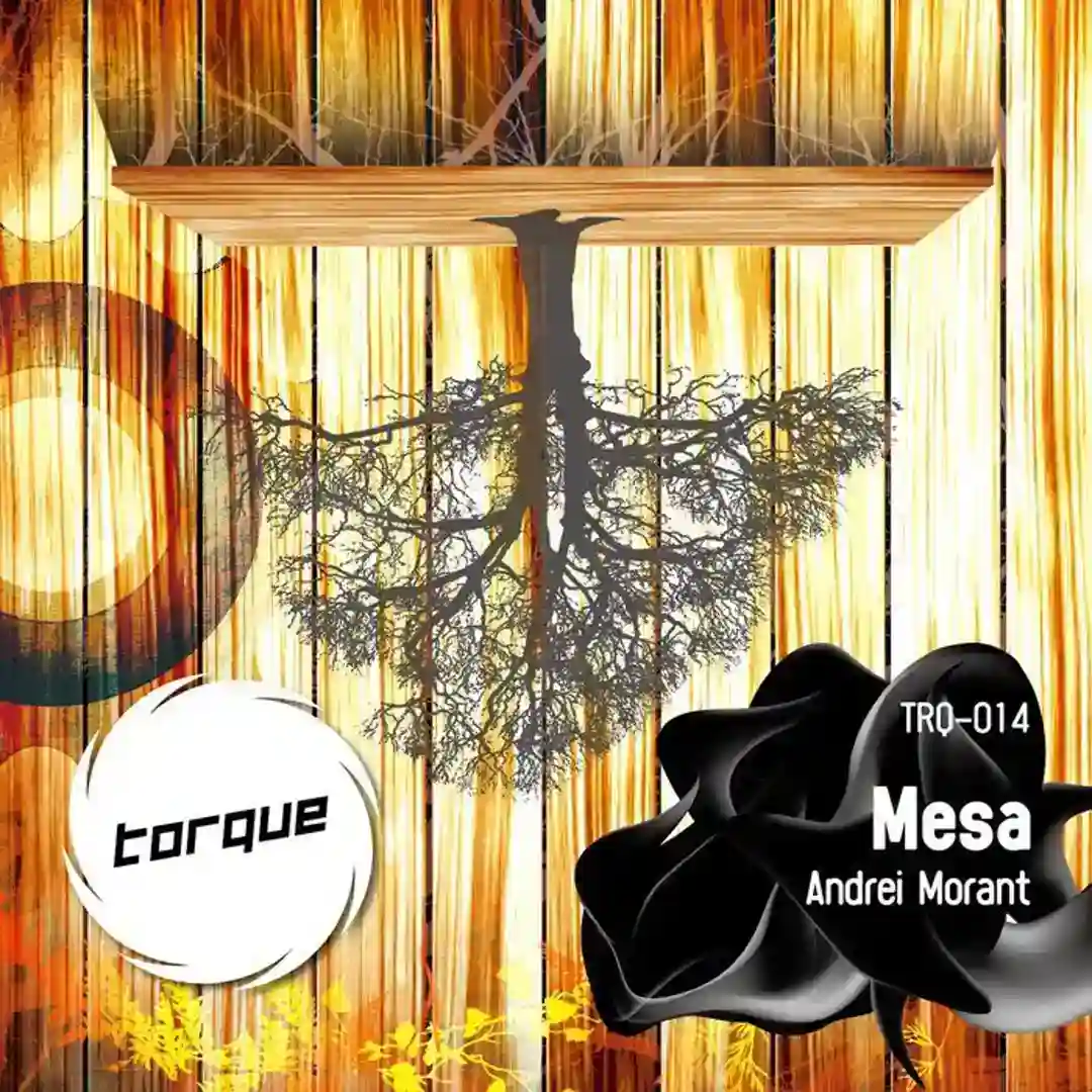 Mesa 3 cover