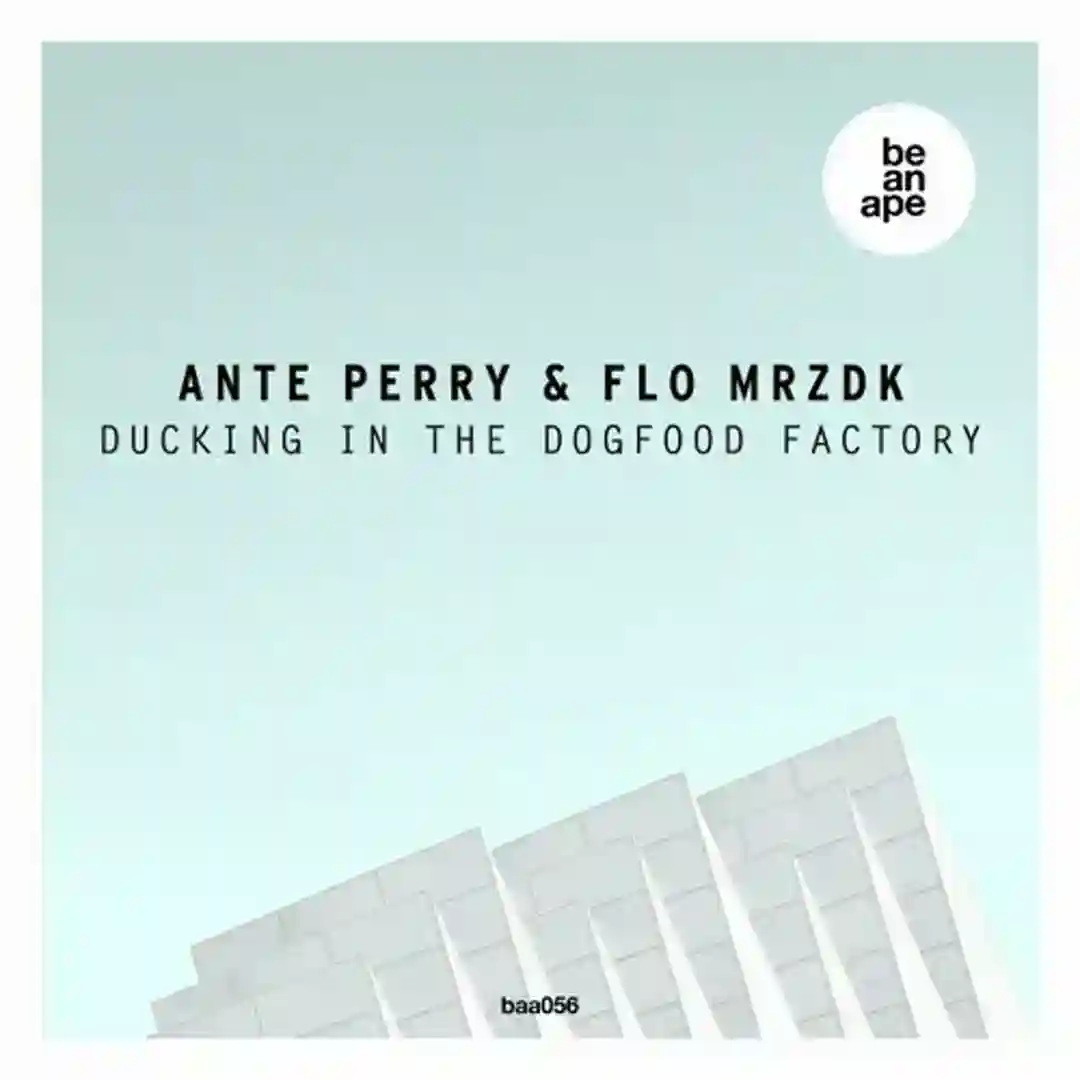 Ducking in the Dogfood Factory (Original) cover